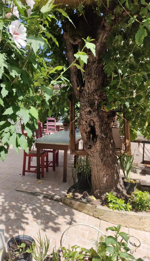 مبيت وإفطار Chandolas Les P'Tits Velos المظهر الخارجي الصورة